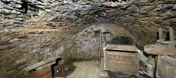 Ферма с 8 комнатами в Greiz, Германия № 346232 35