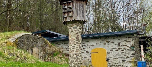 Ферма с 8 комнатами в Greiz, Германия № 346232 22