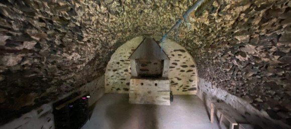 Ферма с 8 комнатами в Greiz, Германия № 346232 5