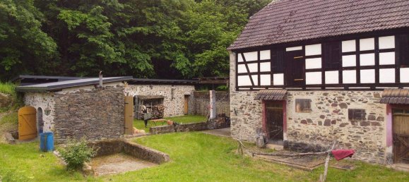 Ферма с 8 комнатами в Greiz, Германия № 346232 2