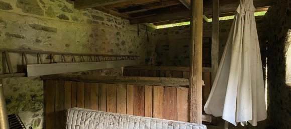 Ферма с 8 комнатами в Greiz, Германия № 346232 19