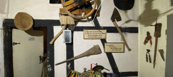 Ферма с 8 комнатами в Greiz, Германия № 346232 31