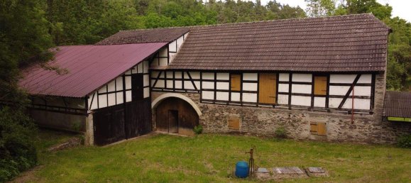 Ферма с 8 комнатами в Greiz, Германия № 346232 11