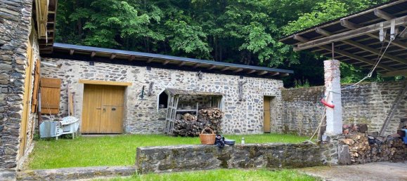 Ферма с 8 комнатами в Greiz, Германия № 346232 18