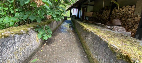 Ферма с 8 комнатами в Greiz, Германия № 346232 27