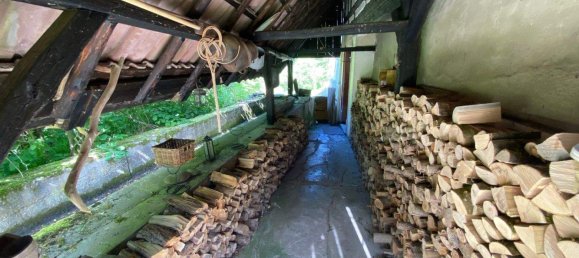 Ферма с 8 комнатами в Greiz, Германия № 346232 29