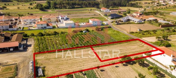 2125m² Land in Leiria, Portugal No. 75483 3