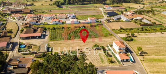 2125m² Land in Leiria, Portugal No. 75483 9