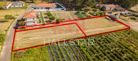 2125m² Land in Leiria, Portugal No. 75483 5