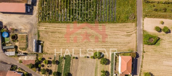 2125m² Land in Leiria, Portugal No. 75483 8