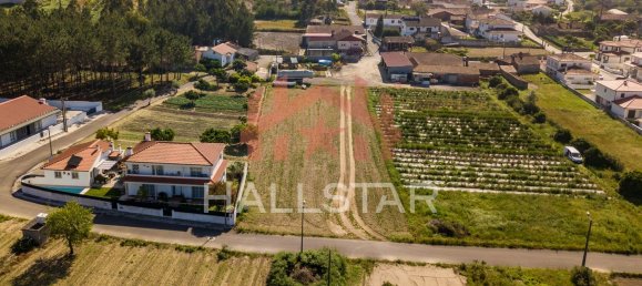 2125m² Land in Leiria, Portugal No. 75483 2