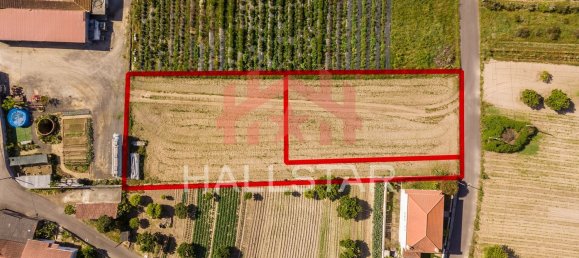 2125m² Land in Leiria, Portugal No. 75483 7