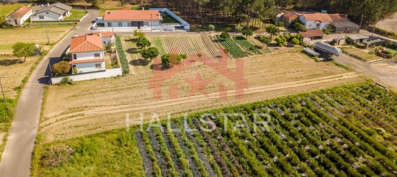 2125m² Land in Leiria, Portugal No. 75483 6