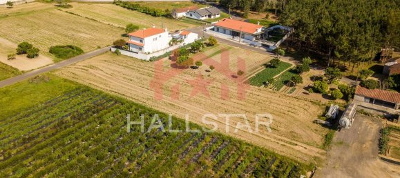 2125m² Land in Leiria, Portugal No. 75483 15