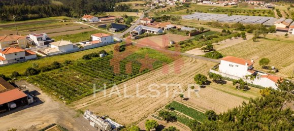 2125m² Land in Leiria, Portugal No. 75483 17