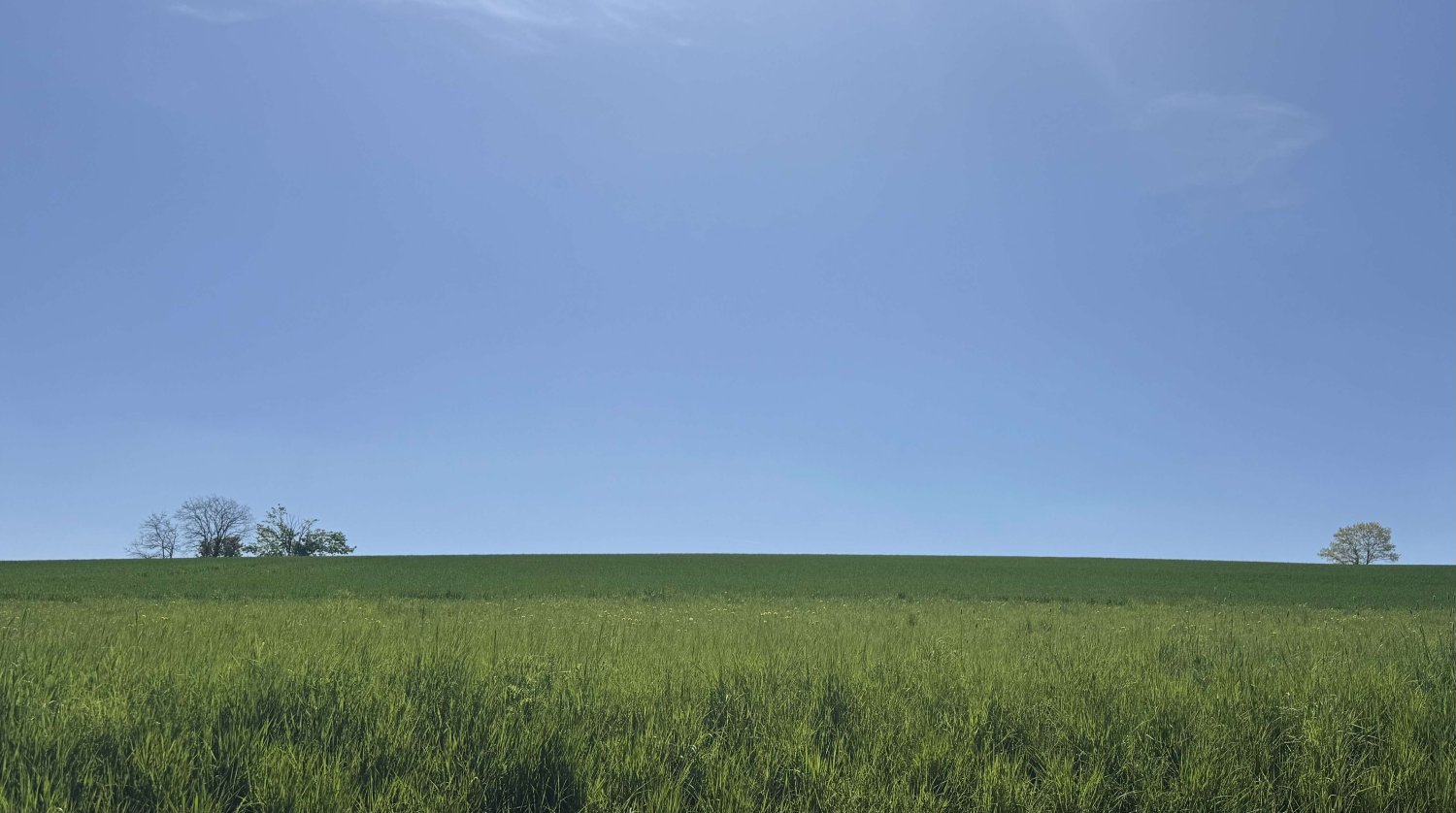 Terreno en Erlangen-Hochstadt, Germany No. 231539