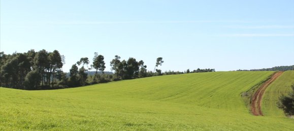 Отель, гостиница 103500м² в Халкидики, Греция № 5212 2