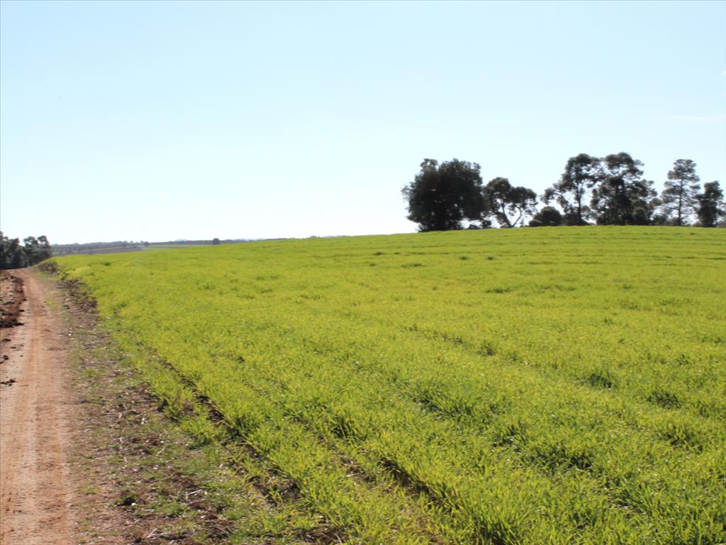 Отель, гостиница 103500м² в Халкидики, Греция № 5212