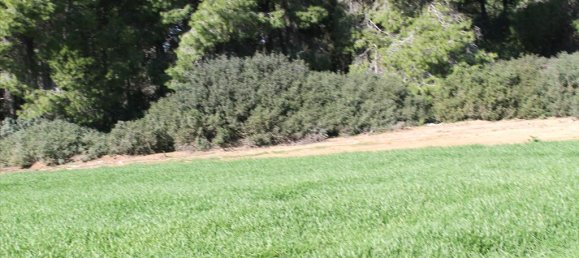 Отель, гостиница 103500м² в Халкидики, Греция № 5212 6