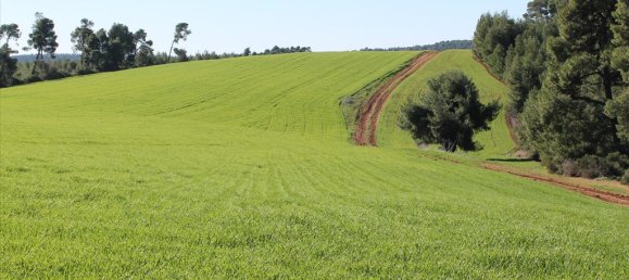 Отель, гостиница 103500м² в Халкидики, Греция № 5212 8