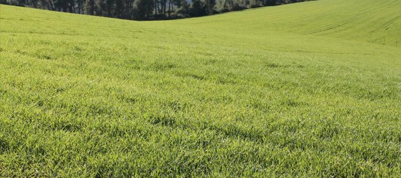 Отель, гостиница 103500м² в Халкидики, Греция № 5212 4