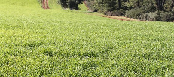 Отель, гостиница 103500м² в Халкидики, Греция № 5212 3