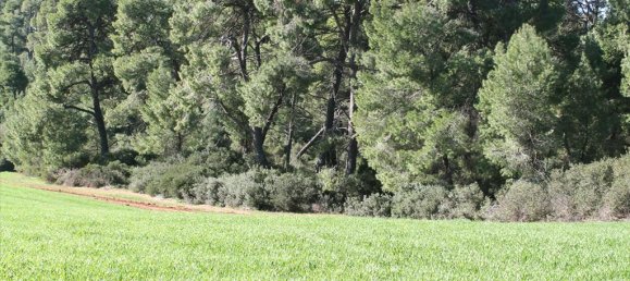 Отель, гостиница 103500м² в Халкидики, Греция № 5212 7