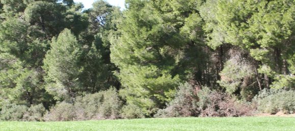 Отель, гостиница 103500м² в Халкидики, Греция № 5212 5