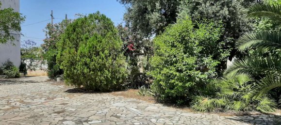 8 rooms Villa in Leporano, Italy No. 294308 22