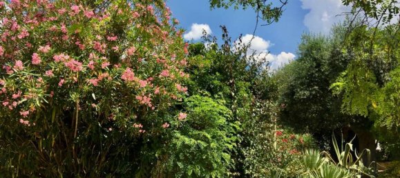 8 rooms Villa in Leporano, Italy No. 294308 19