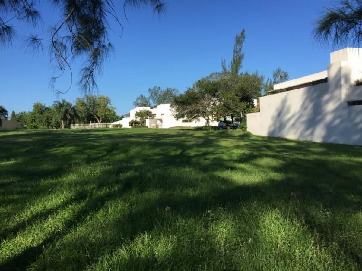 Terrain à Veracruz, Mexico No. 202599