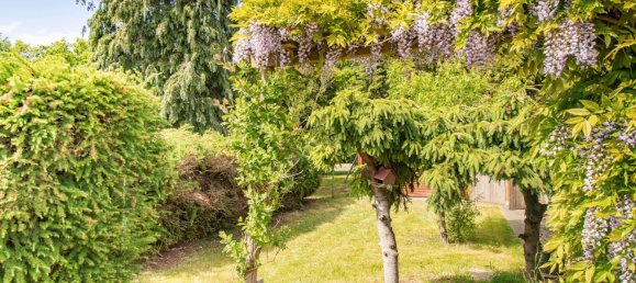 Casa de 3 dormitorios en Schleswig-Holstein, Germany No. 61578 8