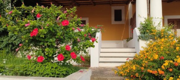 2 bedrooms Apartment in Santa Marina Salina, Italy No. 156279 40