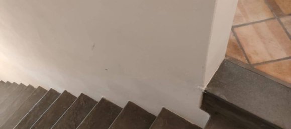 2 bedrooms Apartment in Santa Marina Salina, Italy No. 156279 27