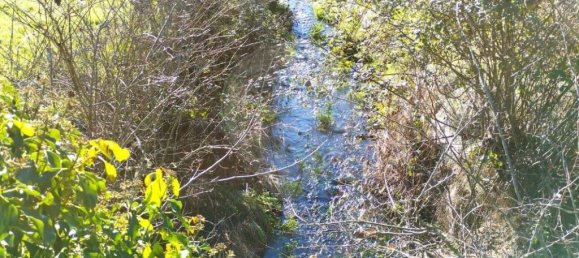 2 غرف نوم فيلا في Vila de Rei, Portugal رقم 166499 13