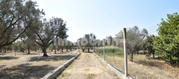 Terrain à Oria, Italy 10833m² No. 156715 7