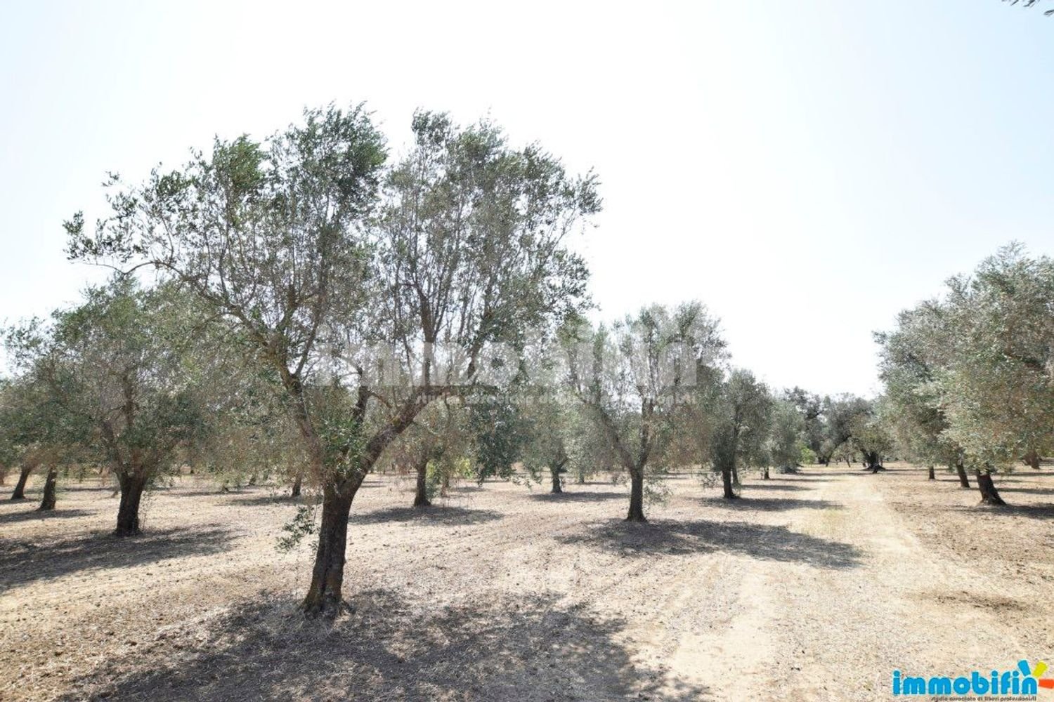 Terrain à Oria, Italy 10833m² No. 156715