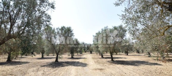 Terrain à Oria, Italy 10833m² No. 156715 10