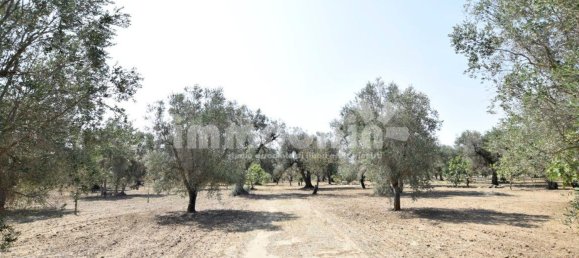 Terrain à Oria, Italy 10833m² No. 156715 9