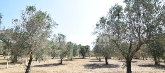 Terrain à Oria, Italy 10833m² No. 156715 8