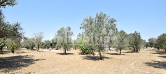 Terrain à Oria, Italy 10833m² No. 156715 4