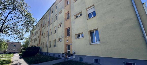 3-salle Appartement à Wiener Neudorf, Austria No. 155159 23