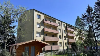 3-salle Appartement à Wiener Neudorf, Austria No. 155159