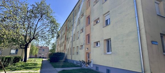 3-salle Appartement à Wiener Neudorf, Austria No. 155159 2