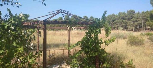 1538m² Land in Segovia, Spain No. 166065 6