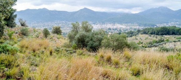  قطعة أرض في Jalon, Spain 10600متر مربع رقم 102910 5