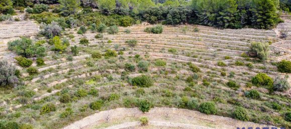  قطعة أرض في Jalon, Spain 10600متر مربع رقم 102910 3