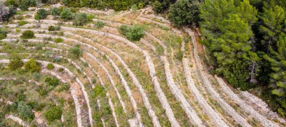  قطعة أرض في Jalon, Spain 10600متر مربع رقم 102910 2