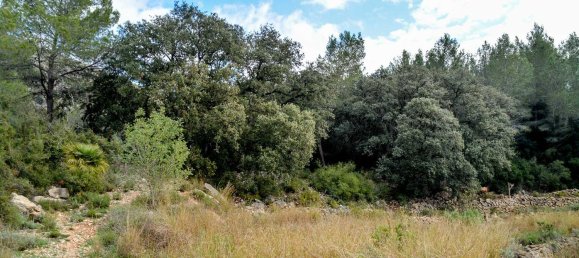  قطعة أرض في Jalon, Spain 10600متر مربع رقم 102910 6