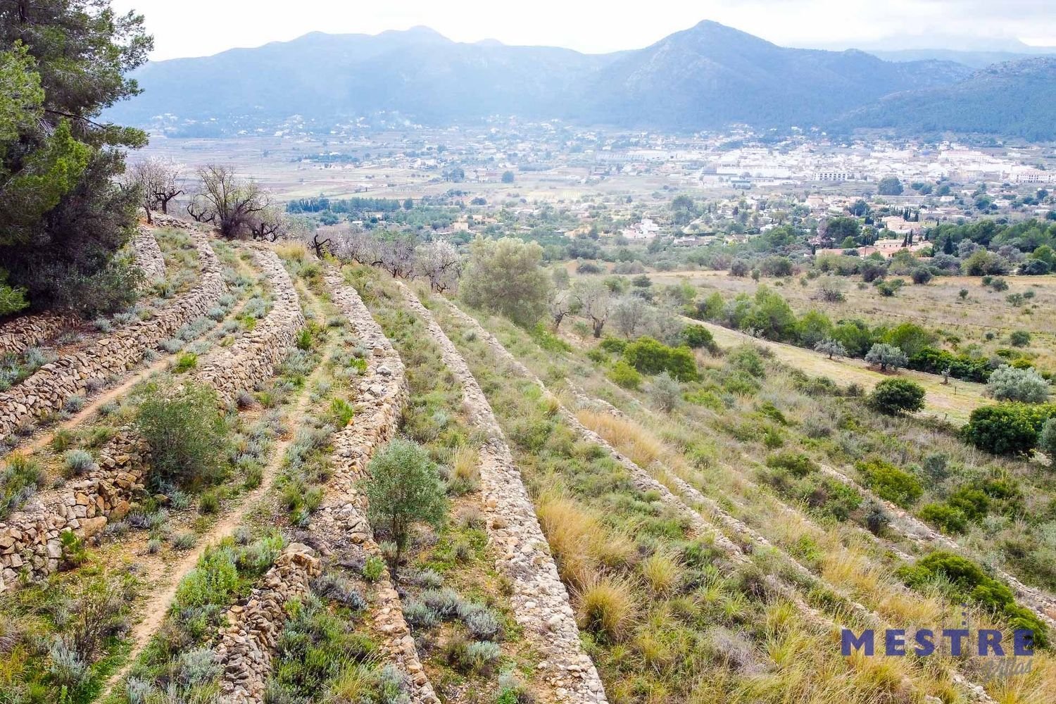  قطعة أرض في Jalon, Spain 10600متر مربع رقم 102910